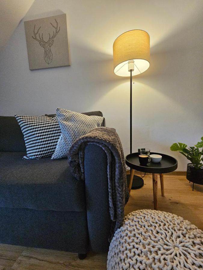Horsky Apartman Miki Filipovice Екстериор снимка