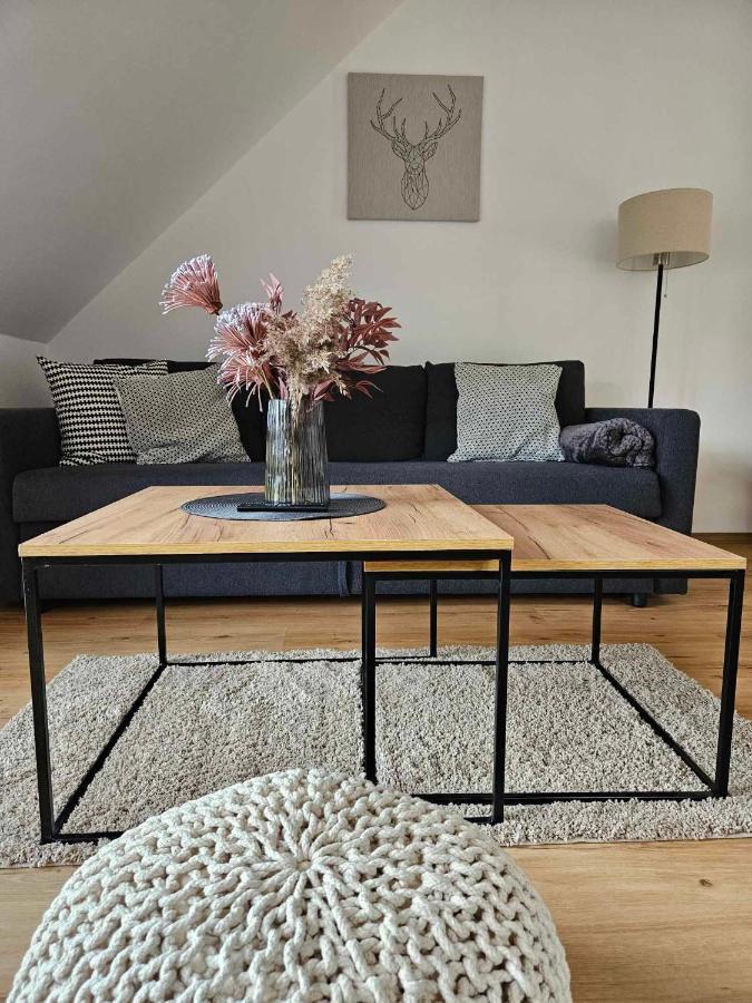Horsky Apartman Miki Filipovice Екстериор снимка