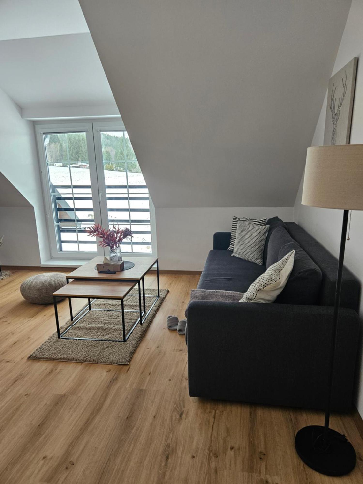 Horsky Apartman Miki Filipovice Екстериор снимка
